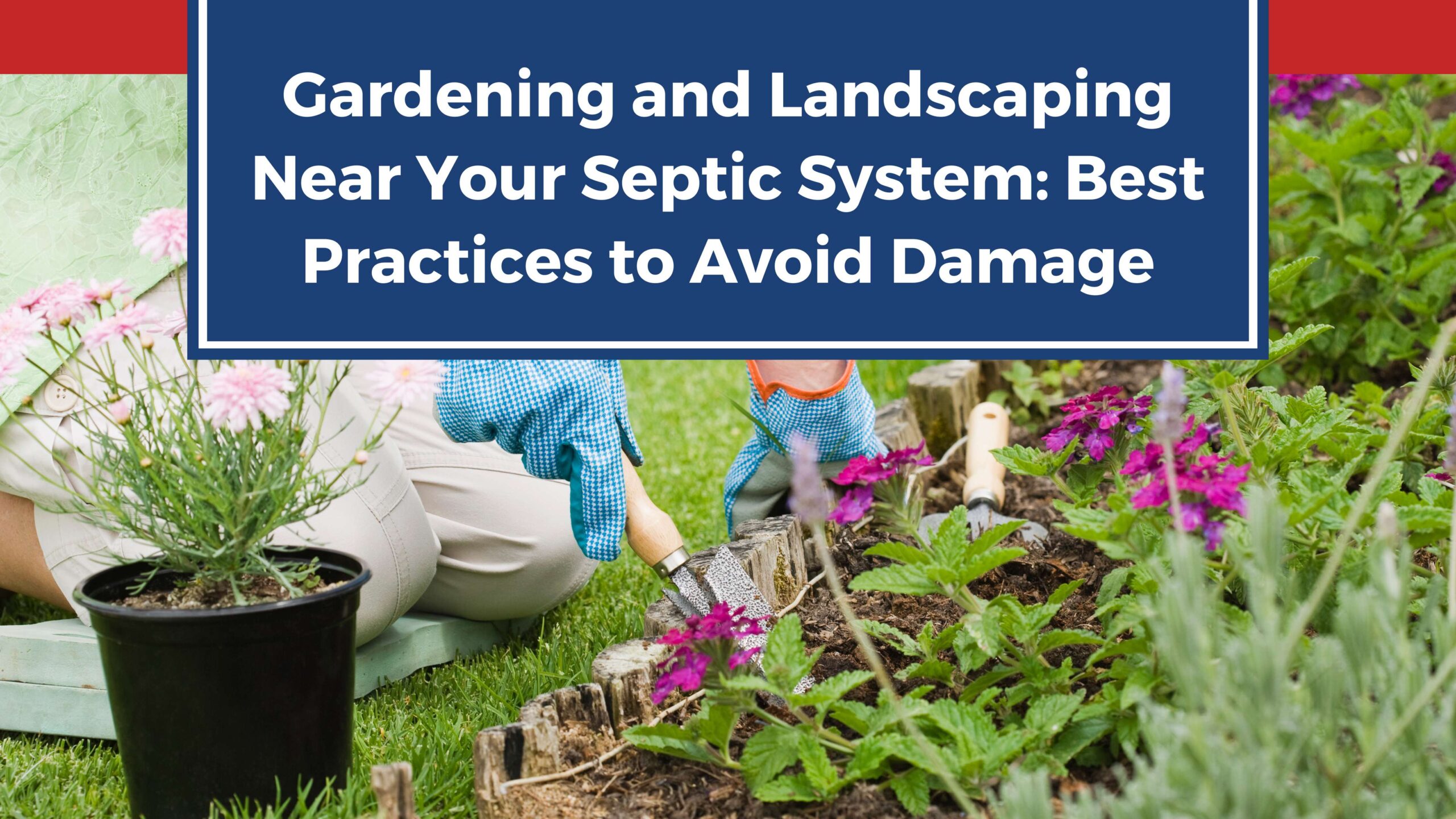 Gardening Near Septic System- One Way Septic #1 Best Septic Company